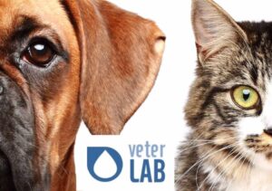 Animais Veterlab